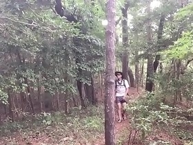 A stroll through the woods